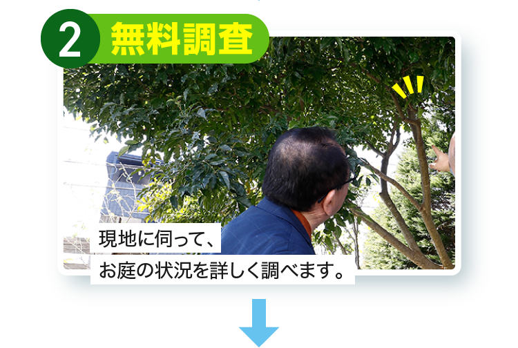 2.無料調査