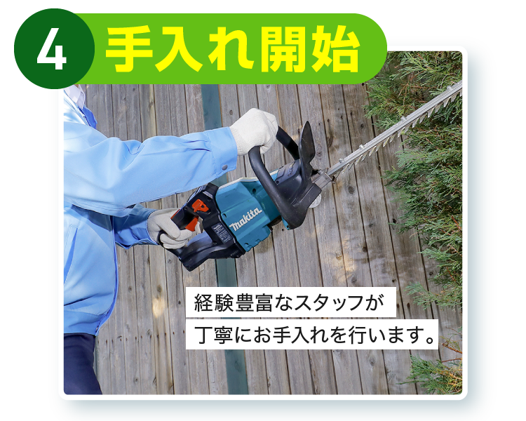 4.手入れ開始